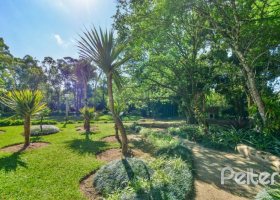 Casa à venda com 1000m², no bairro Chapéu do Sol em Porto Alegre